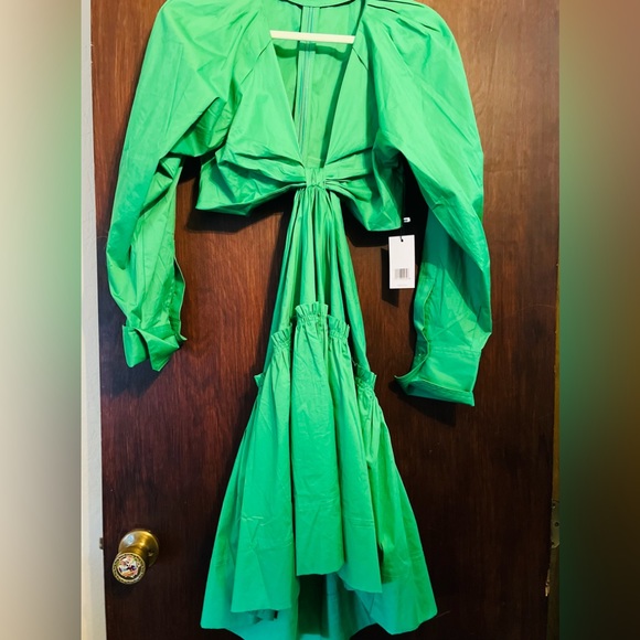 🔥🔥SOLD !!!!! Jason Wu beautiful apple green dress 💥🌺 - Picture 3 of 9